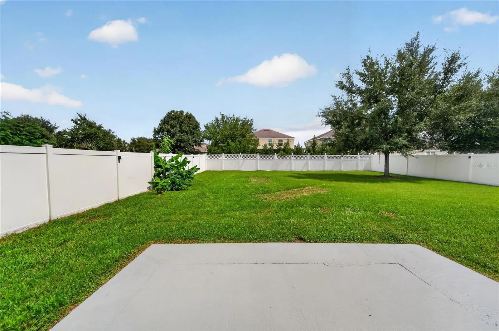 Large fully fenced backyard