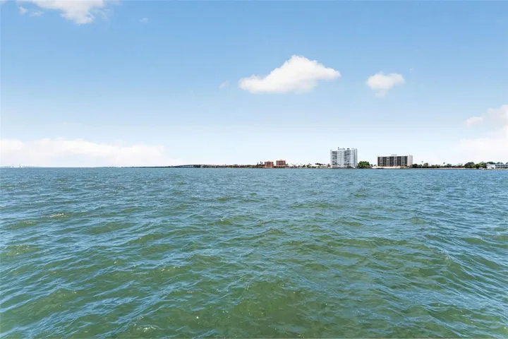 Enjoy the wildlife in your backyard including dolphins, manatees, birds, fish and more!