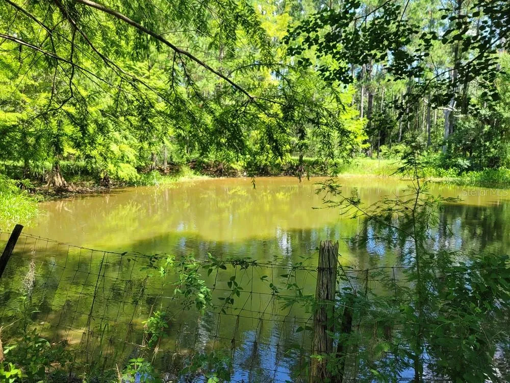 Fishing Pond