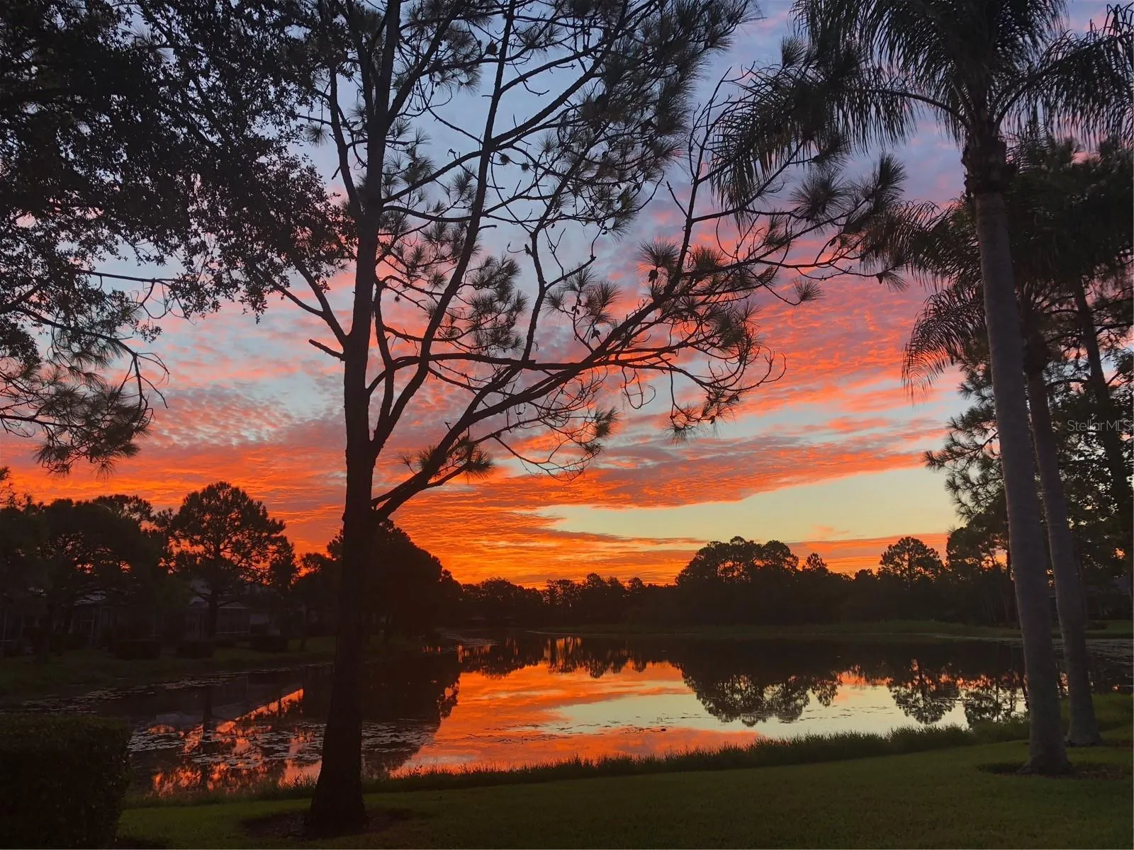 Sunrise from YOUR lanai