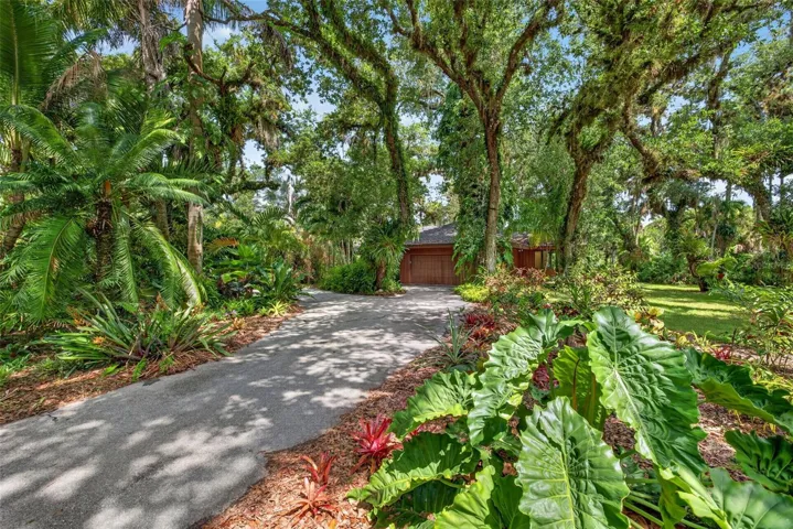 Residence driveway