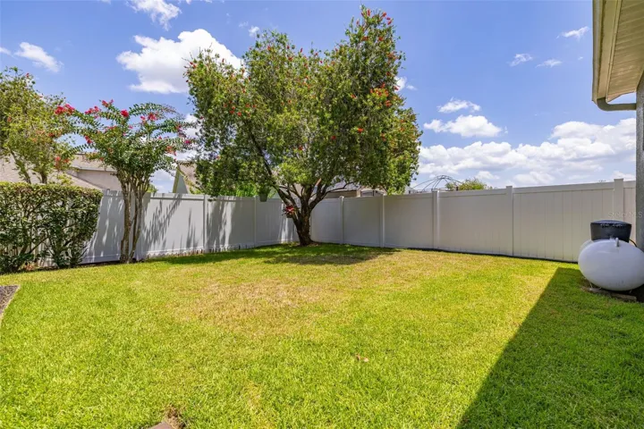 Fenced back yard