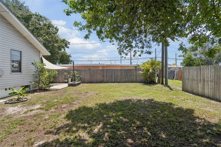 Backyard