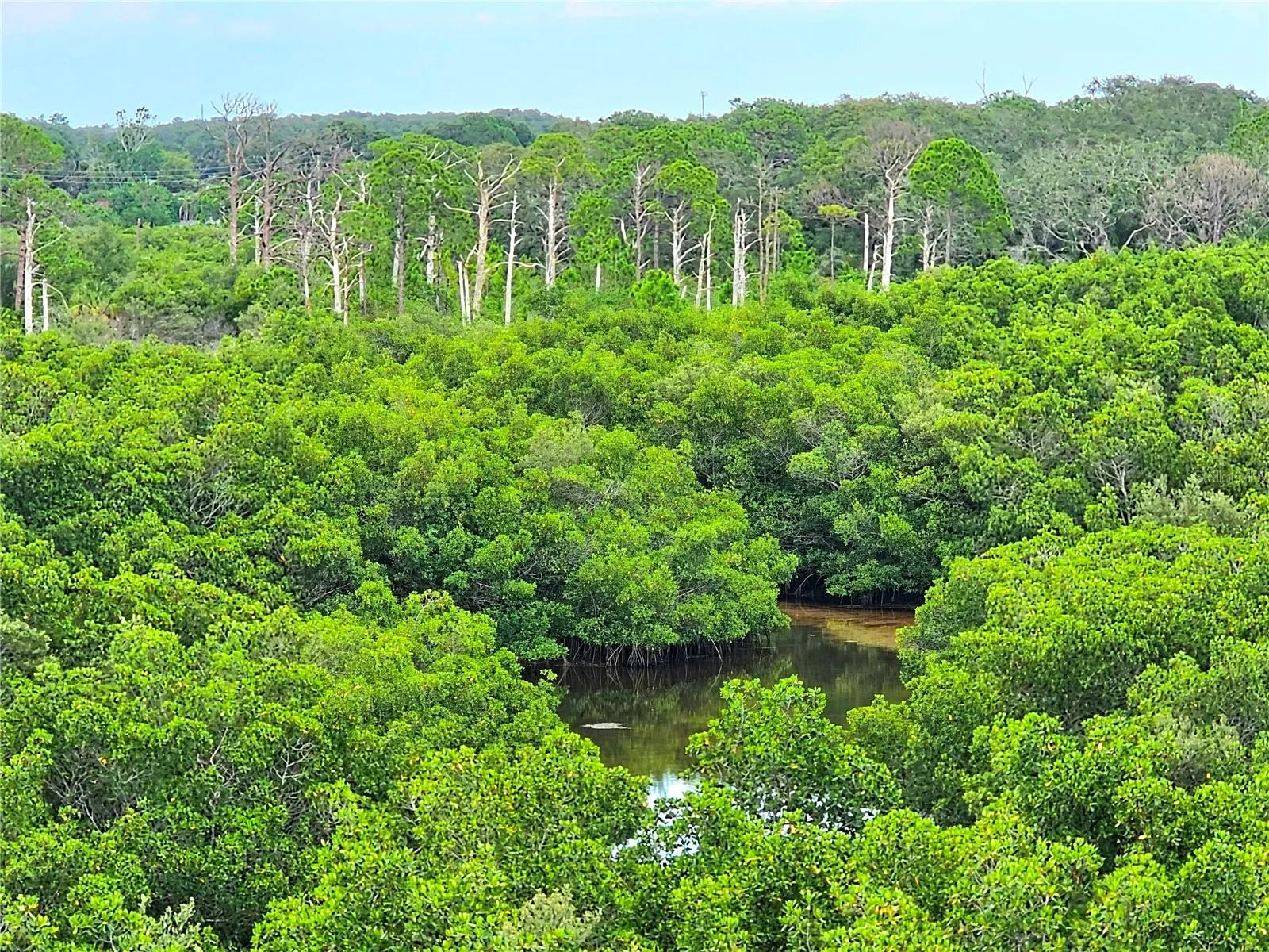 Preserve View