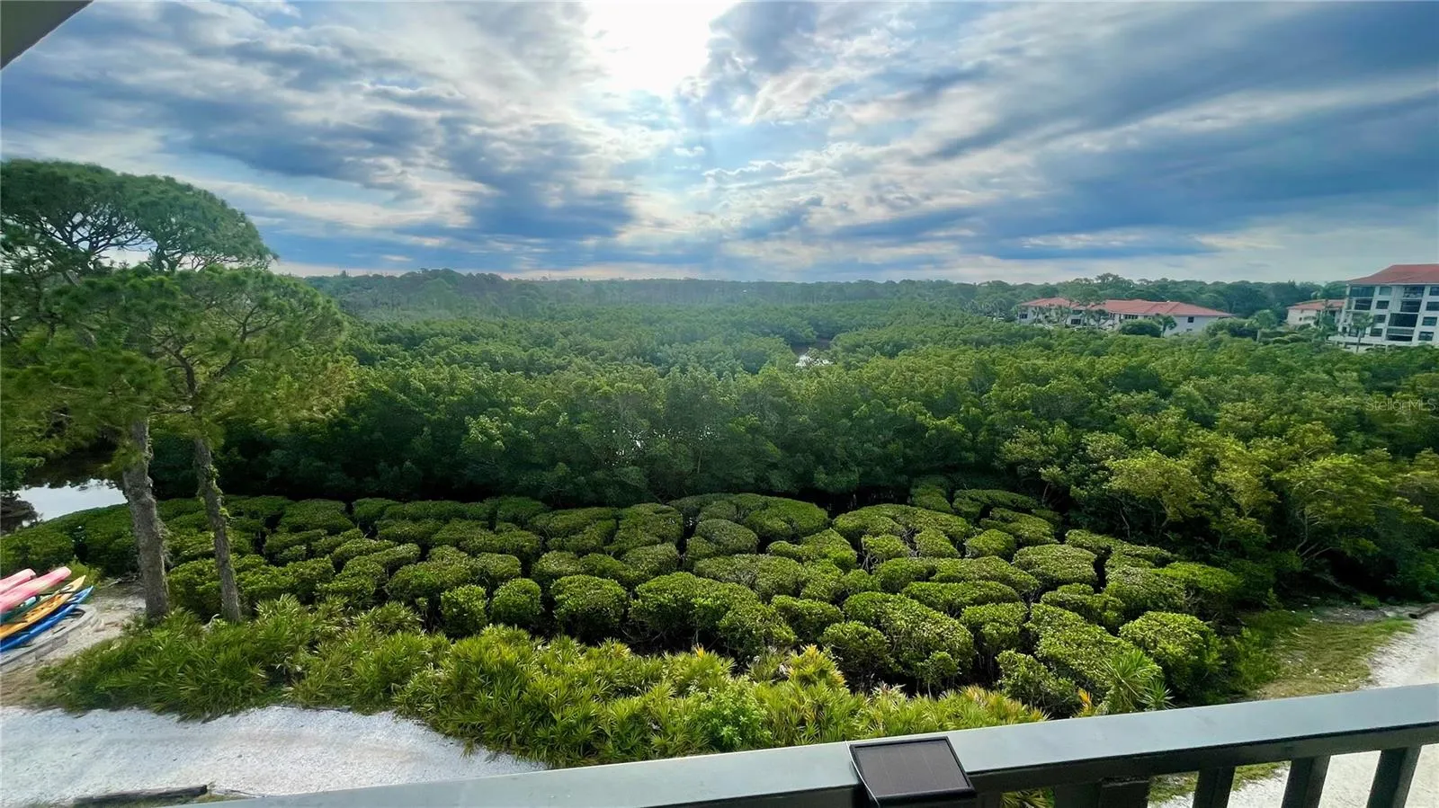 Balcony View of Nature Preserve and Bird Sanctuary