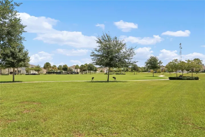 Park