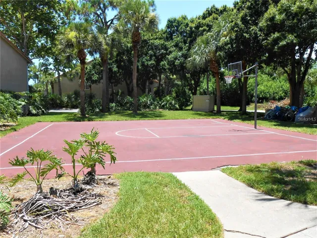 Basketball Court