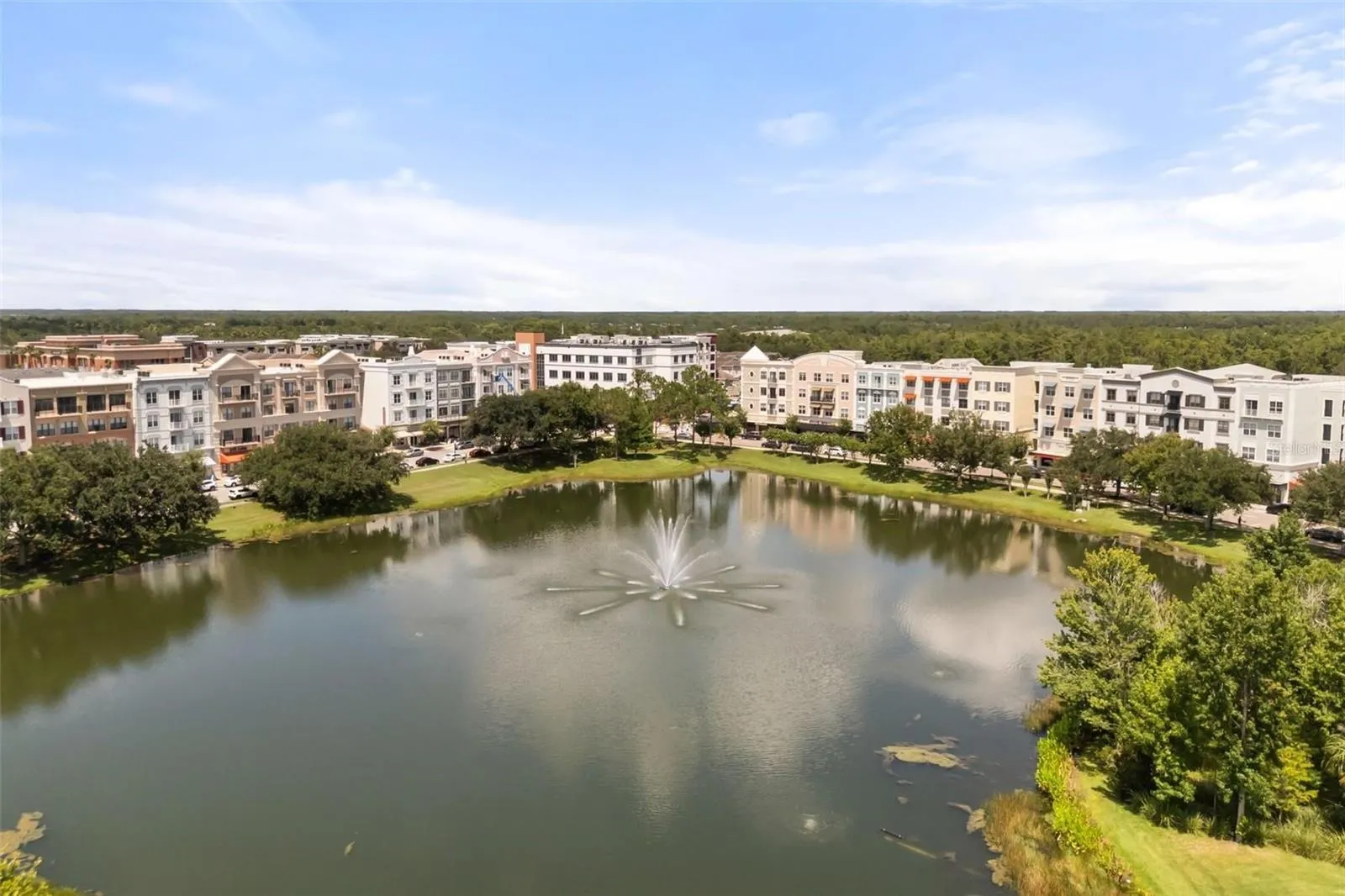 Downtown Avalon Park