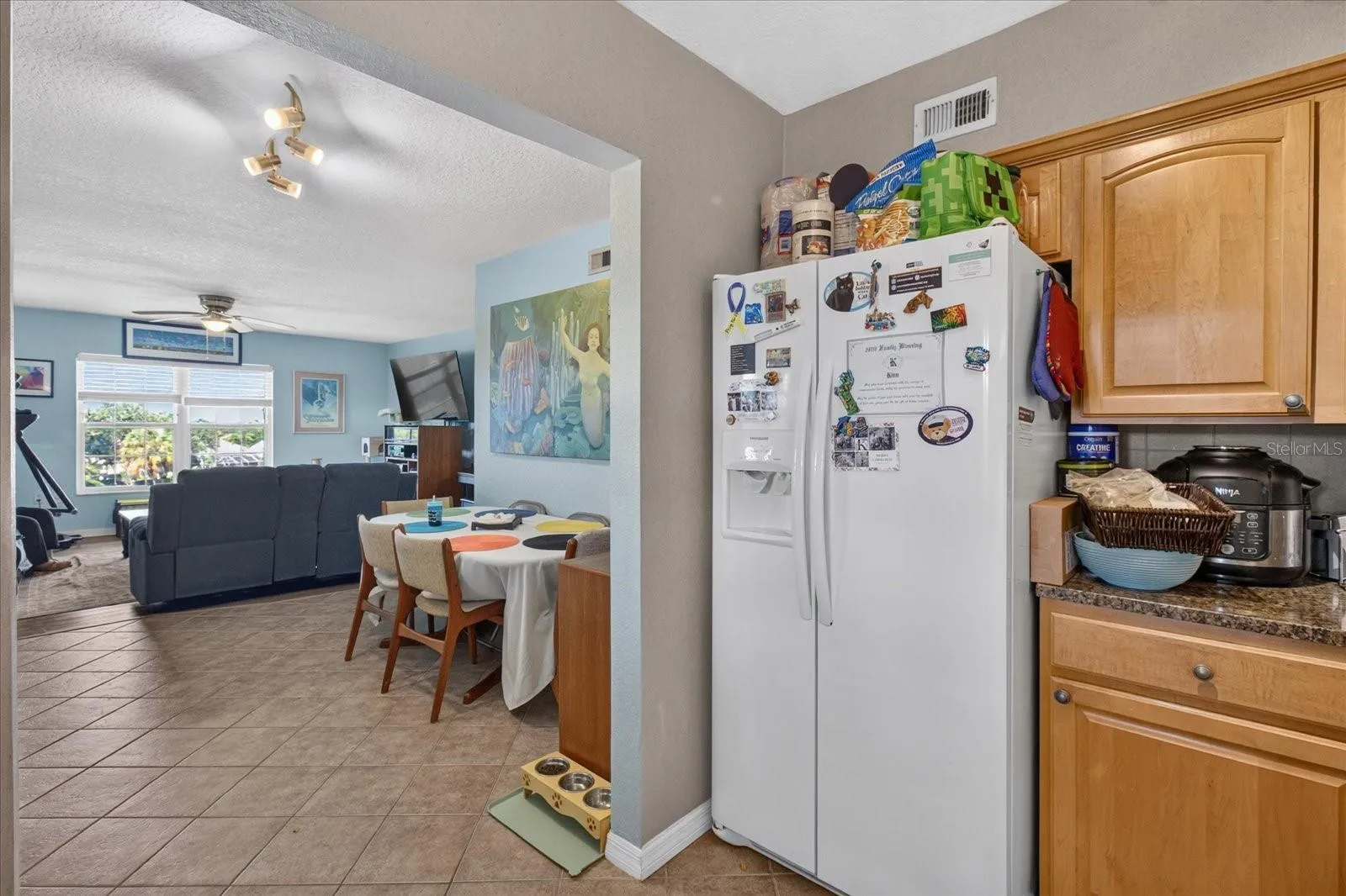 Updated Kitchen, Impact Windows Done in 2025