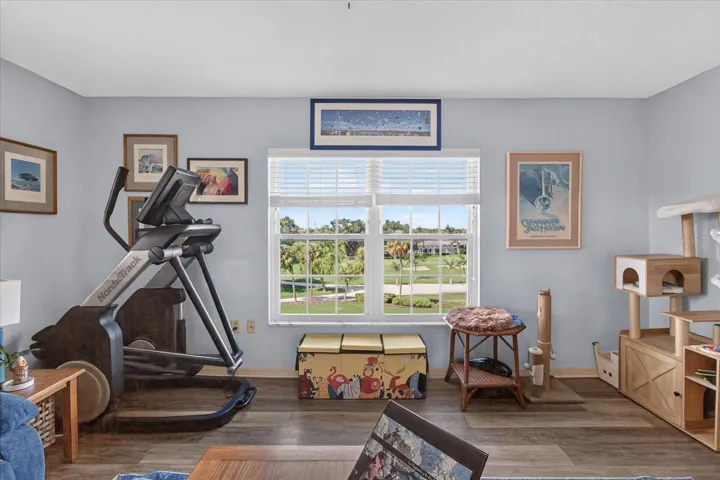 Living Room With Luxury Vinyl Plank and Impact Windows Installed in 2025