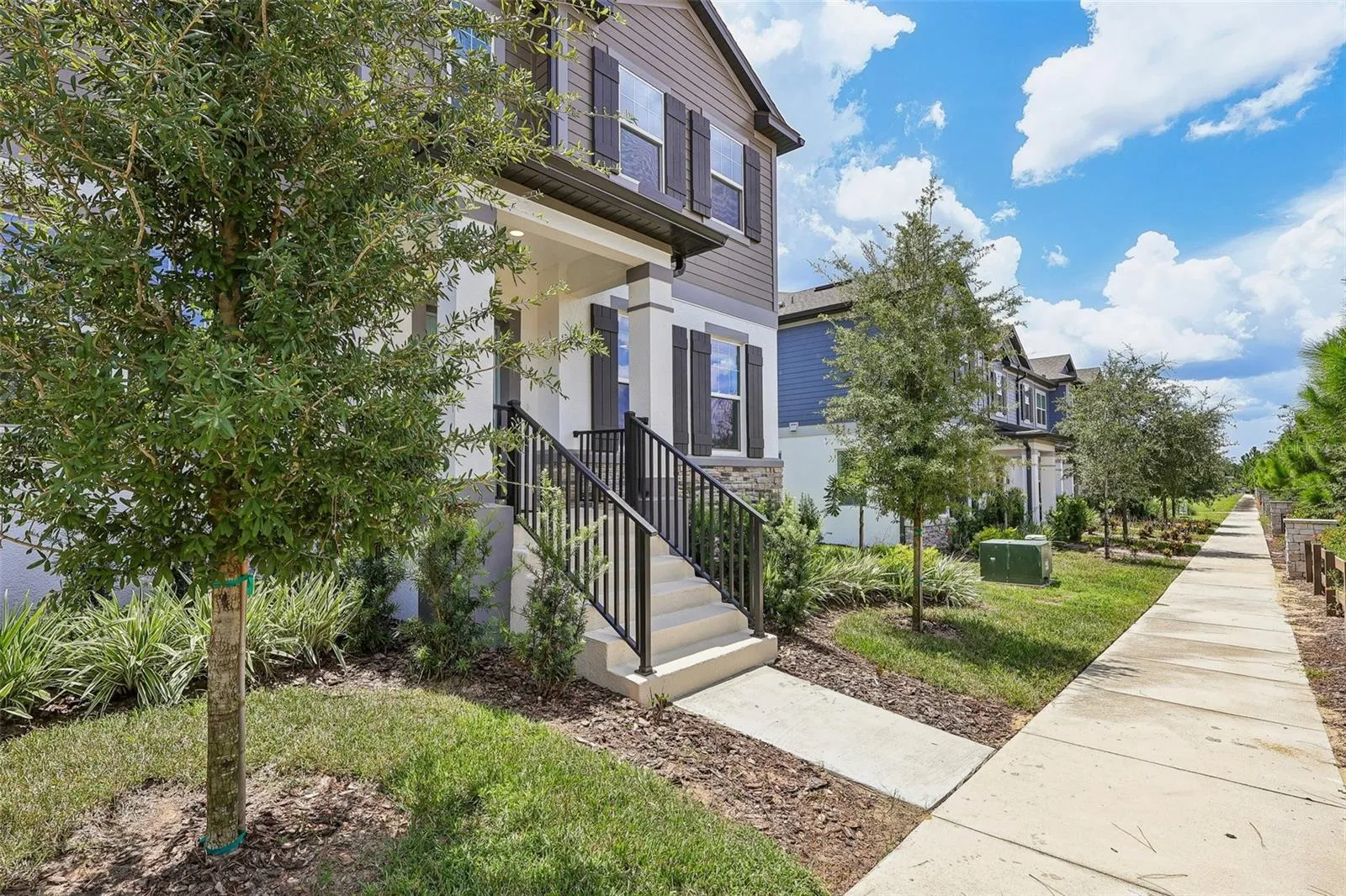 Yard - Front