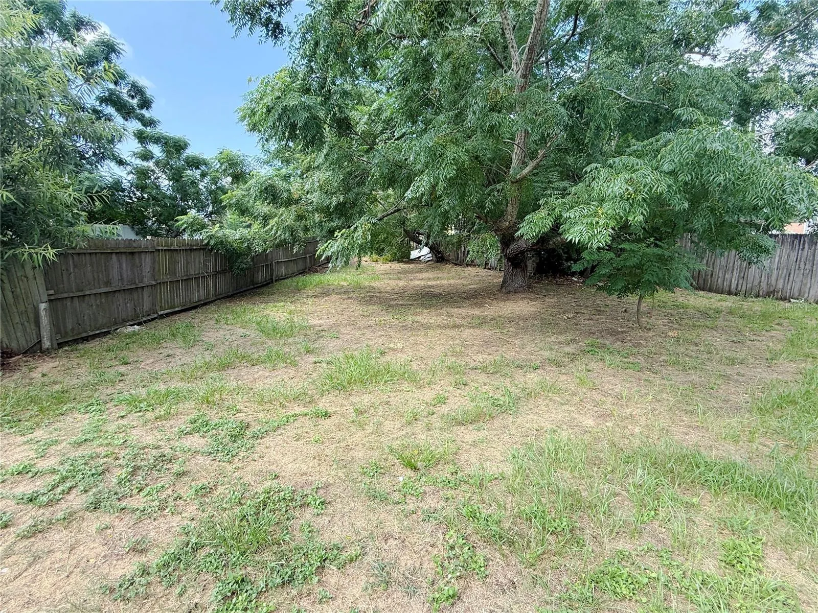 Spacious Backyard