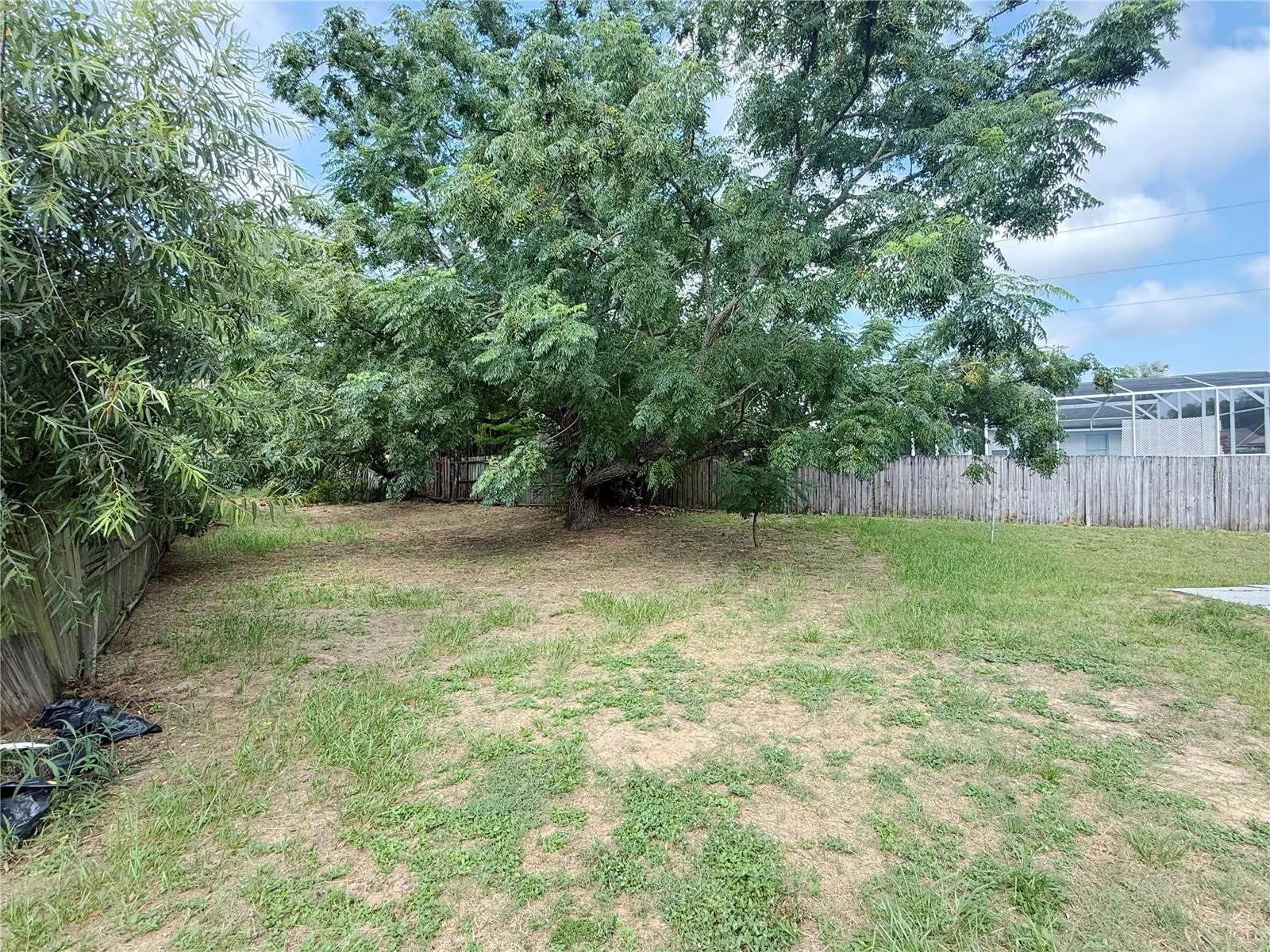 Spacious Backyard