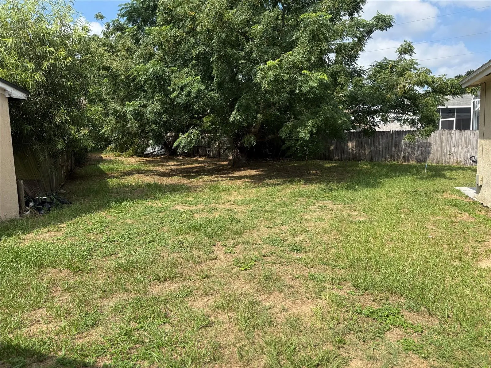 Spacious Backyard
