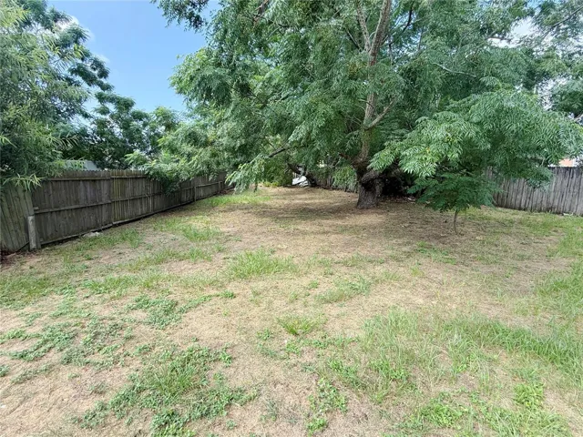 Spacious Backyard