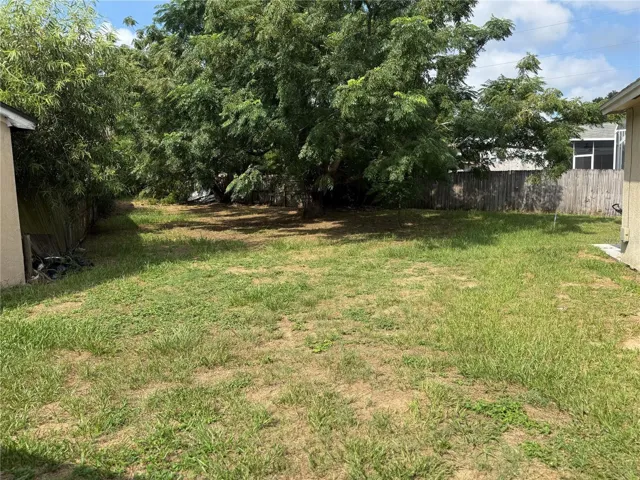 Spacious Backyard