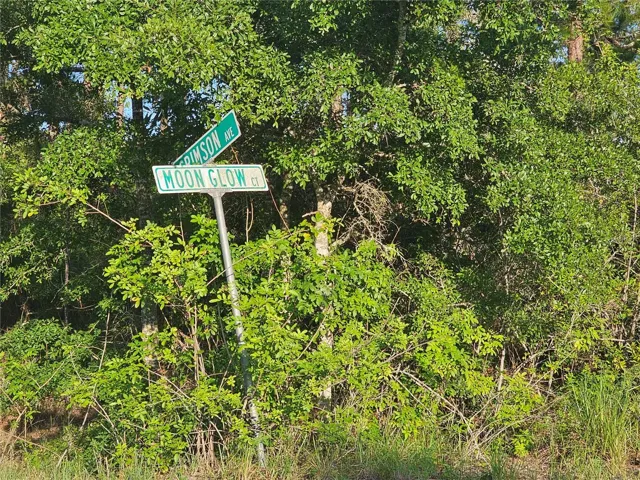 1170
