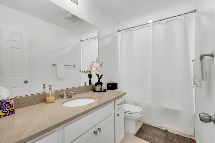 Full Guest Bathroom