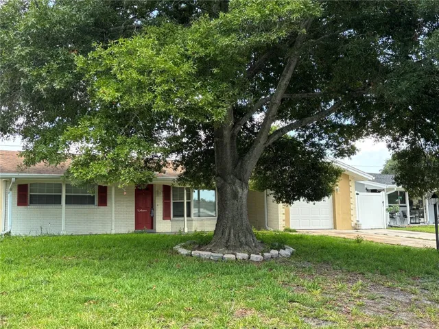Shady front with oversize driveway