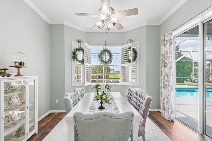 Plantation Shutters Throughout