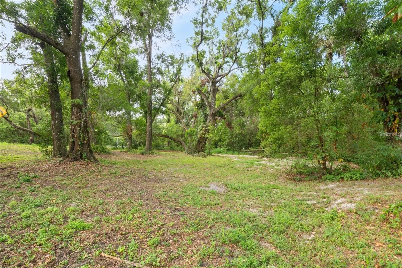 6005 Ike Smith Rd, Plant City, Florida 33565 — photo 23