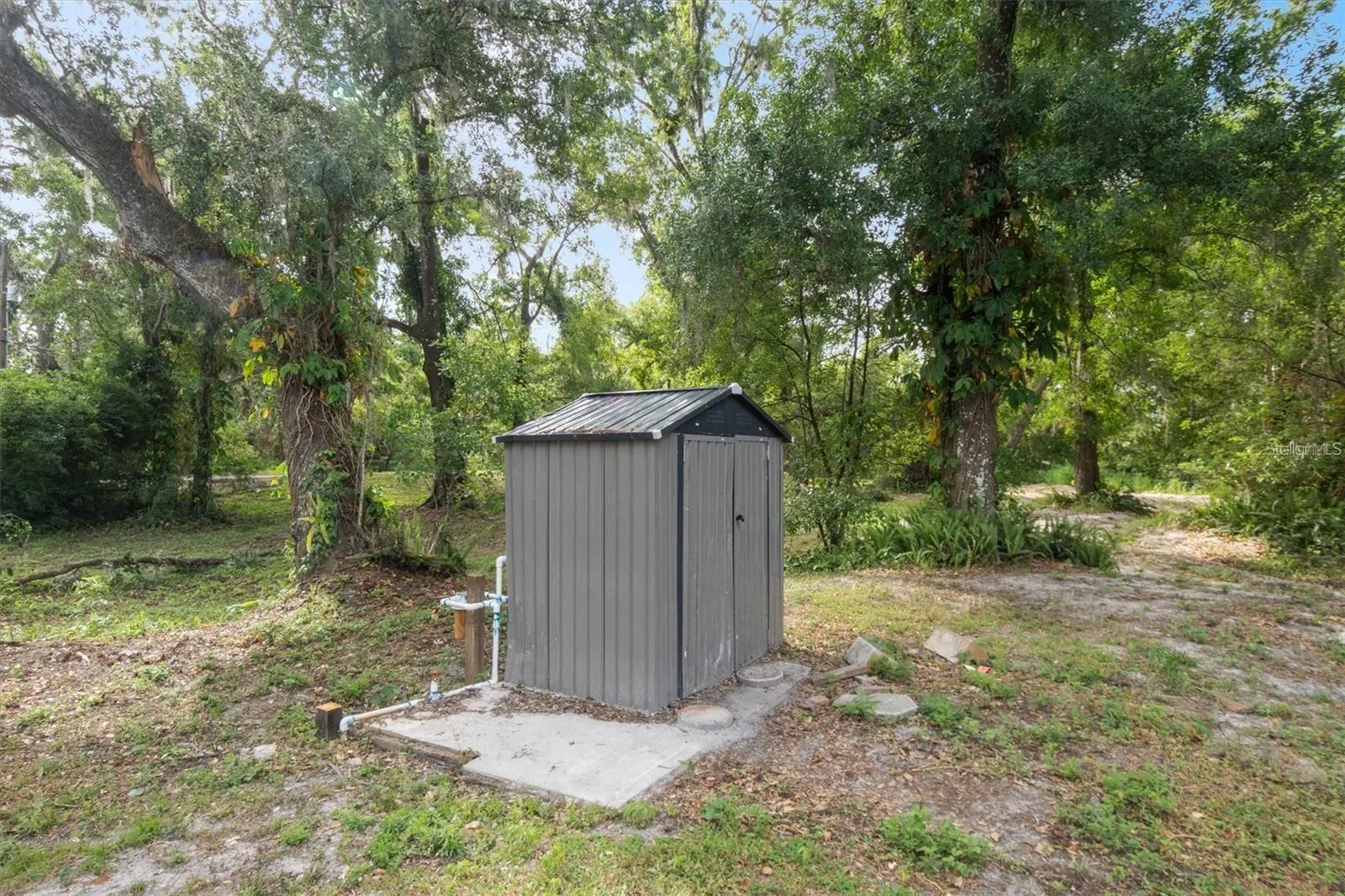 6005 Ike Smith Rd, Plant City, Florida 33565 — photo 31