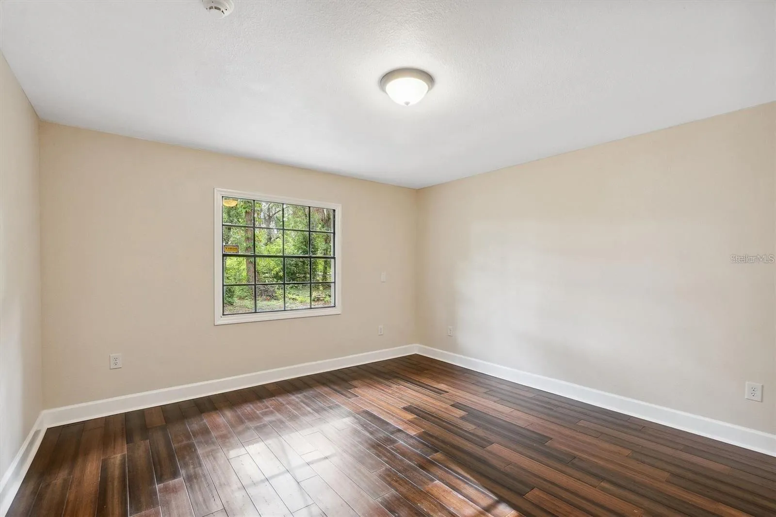 6005 Ike Smith Rd, Plant City, Florida 33565 — photo 18