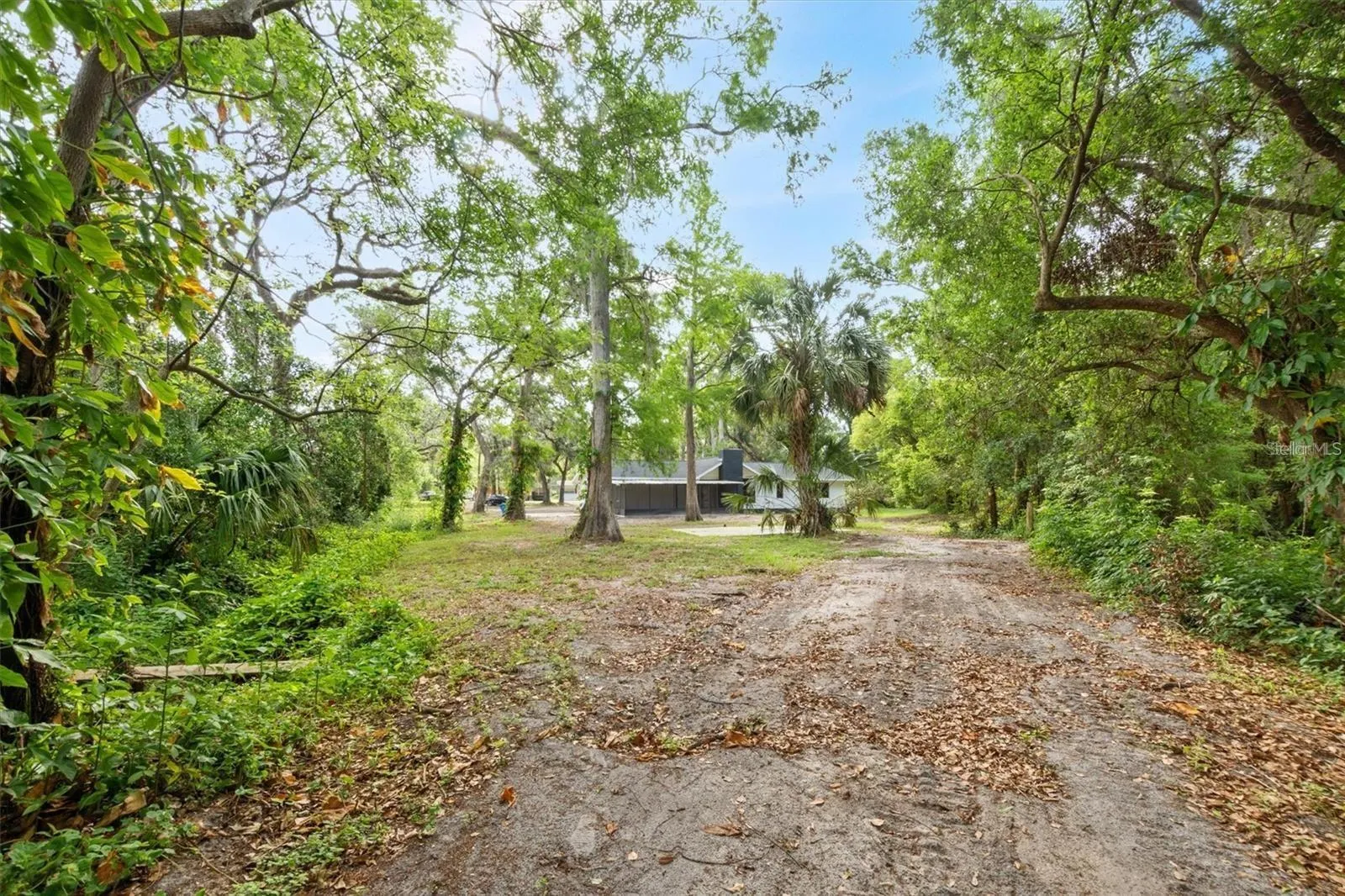 6005 Ike Smith Rd, Plant City, Florida 33565 — photo 29