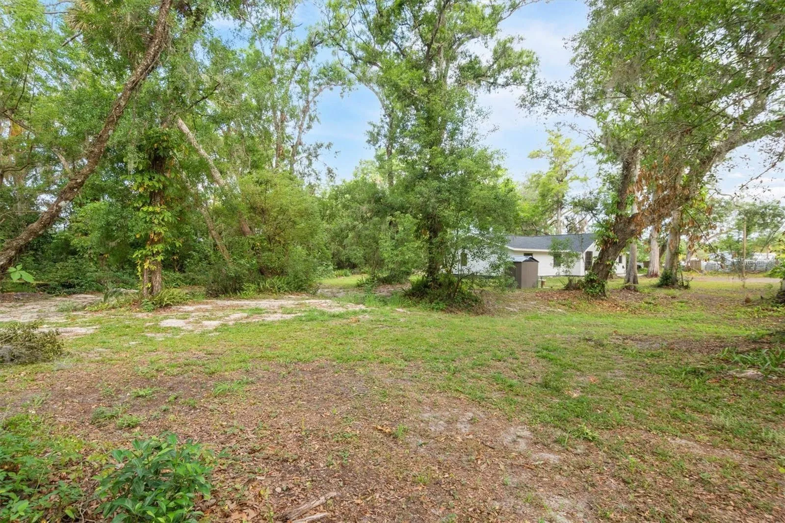 6005 Ike Smith Rd, Plant City, Florida 33565 — photo 24
