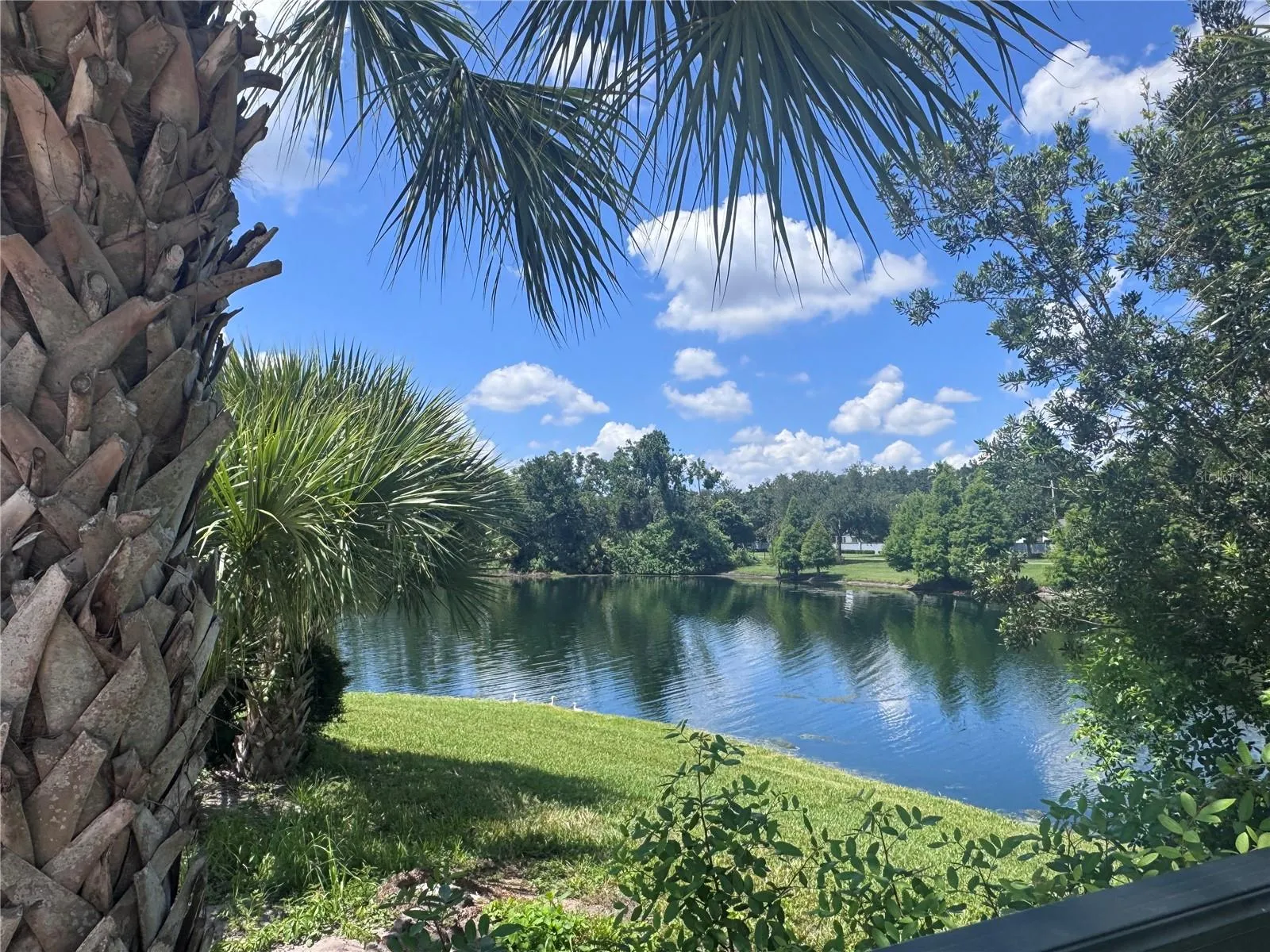 View from clubhouse