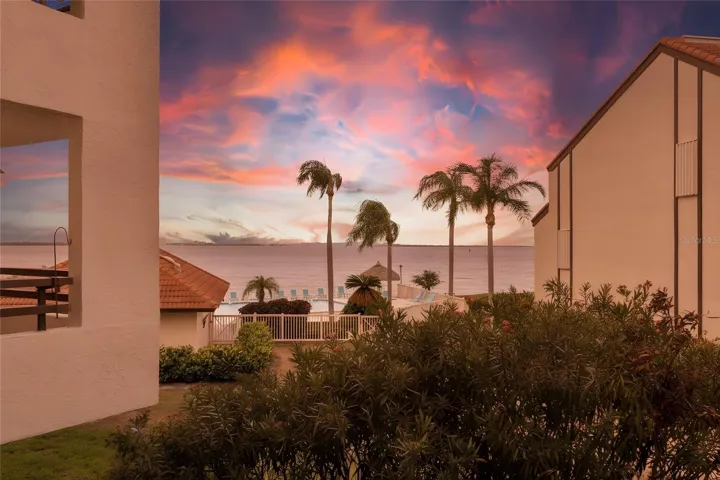 Sunrise Views of Tampa Bay