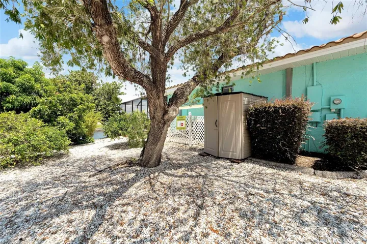 Left Side Yard