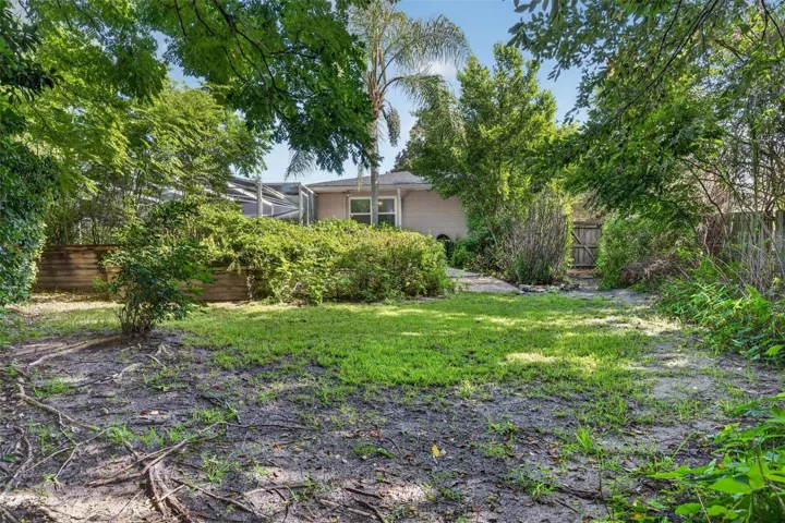 Backyard - perfect for pets or playing