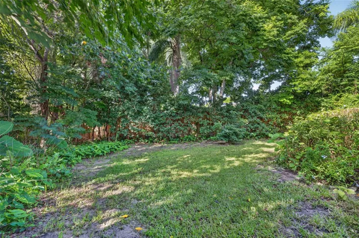 Wooded backyard