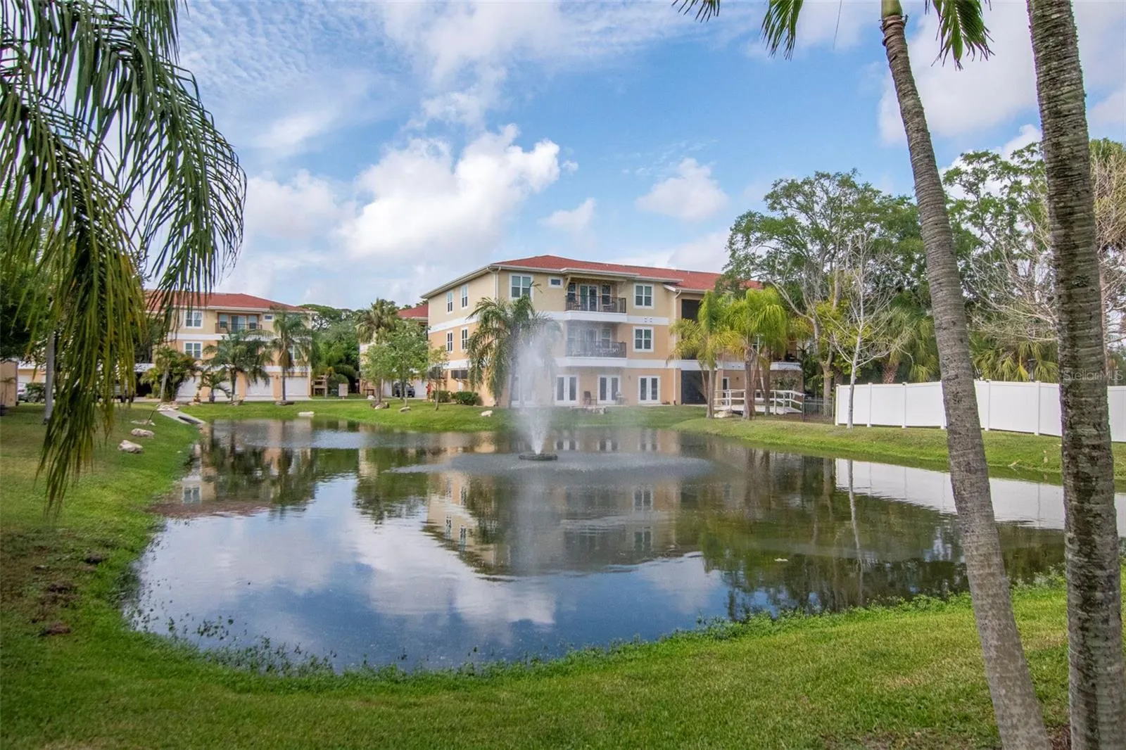Pond view