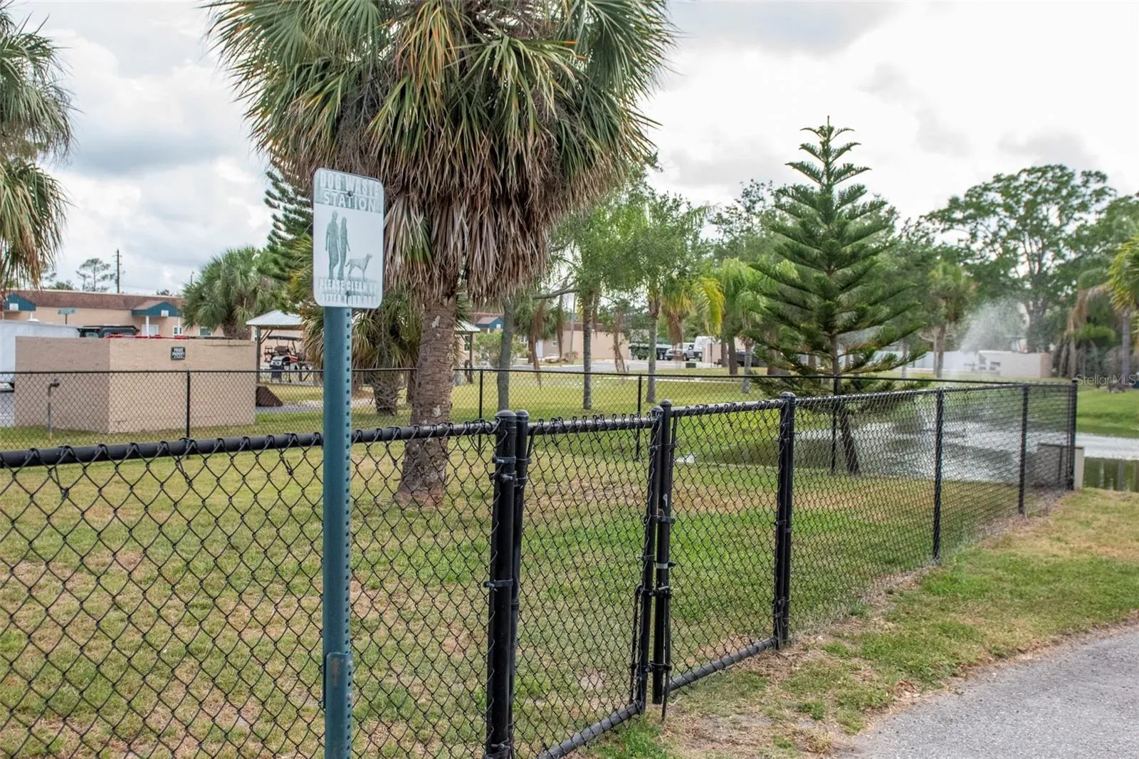 Dog Park