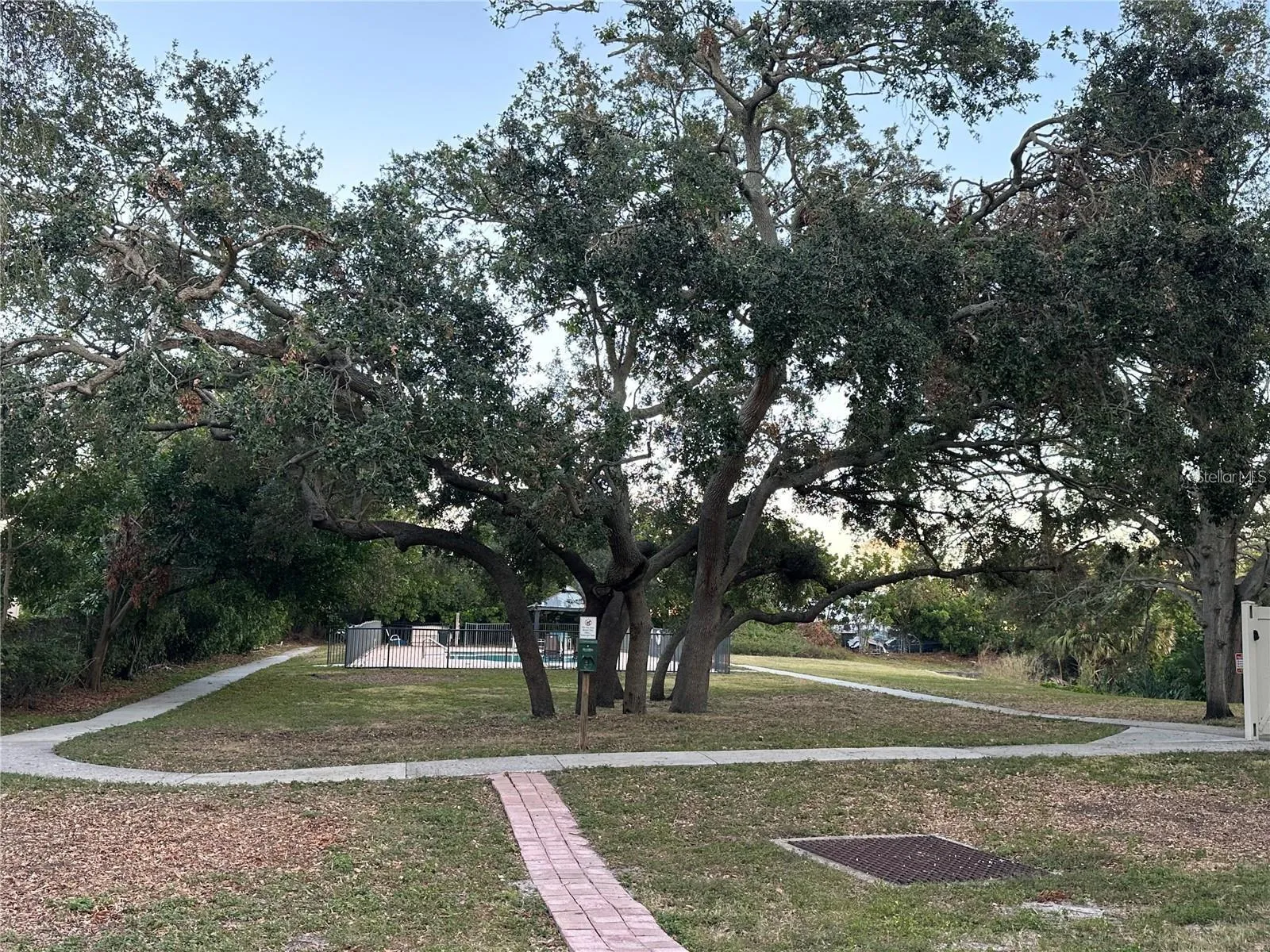 Path to pool