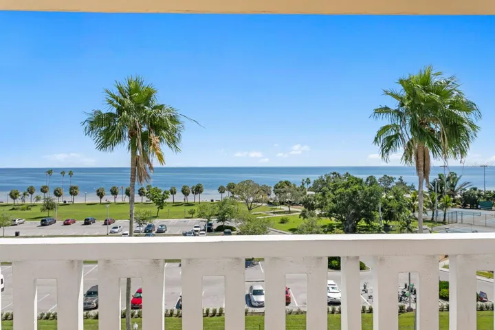 Roof Top View of Tampa Bay