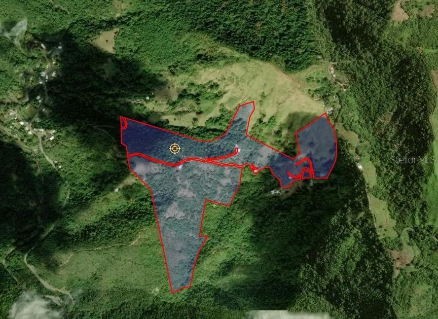Government TAX ID INFO Maps