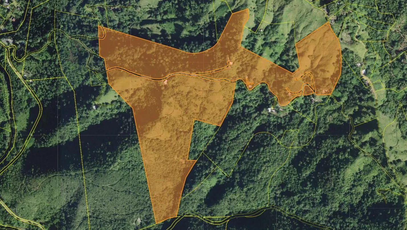 Government TAX ID INFO Maps