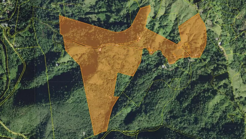 Government TAX ID INFO Maps