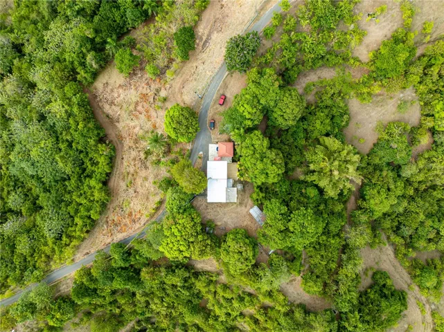 Land of 70 Acres Aerial Views