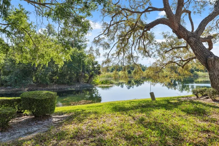Rear waterfront view