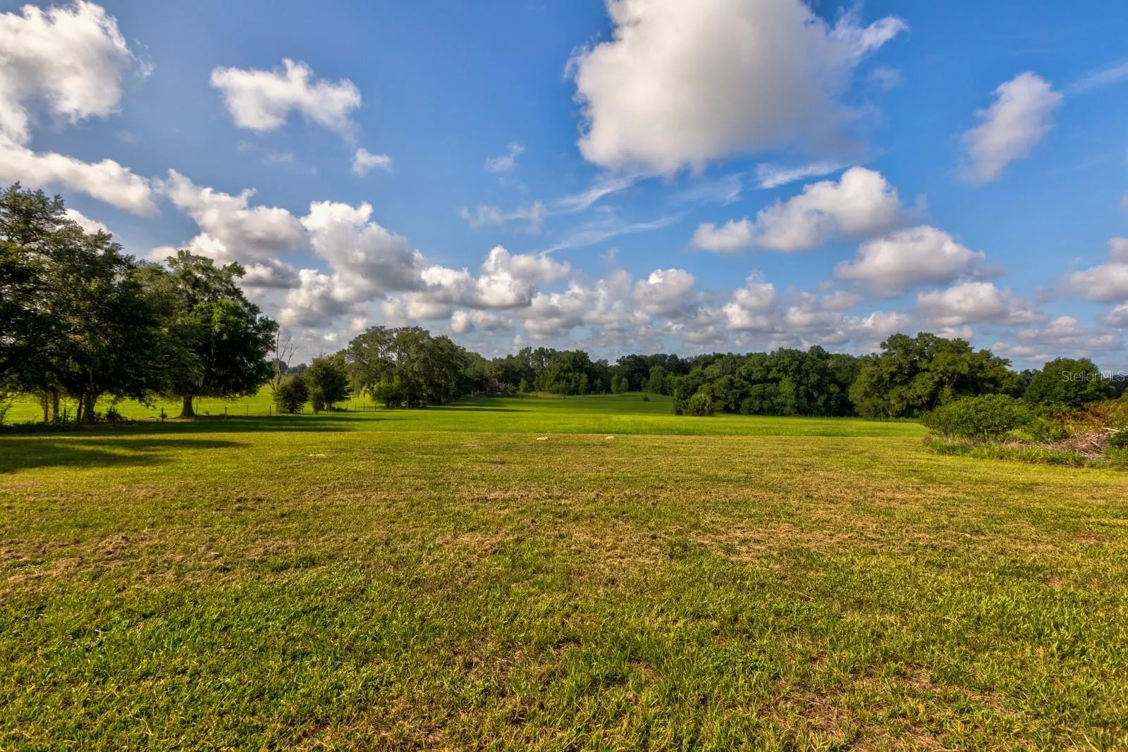 Lush, Beautiful back pasture