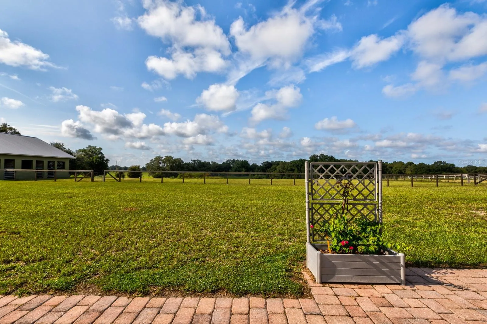 Back field view from back patio area