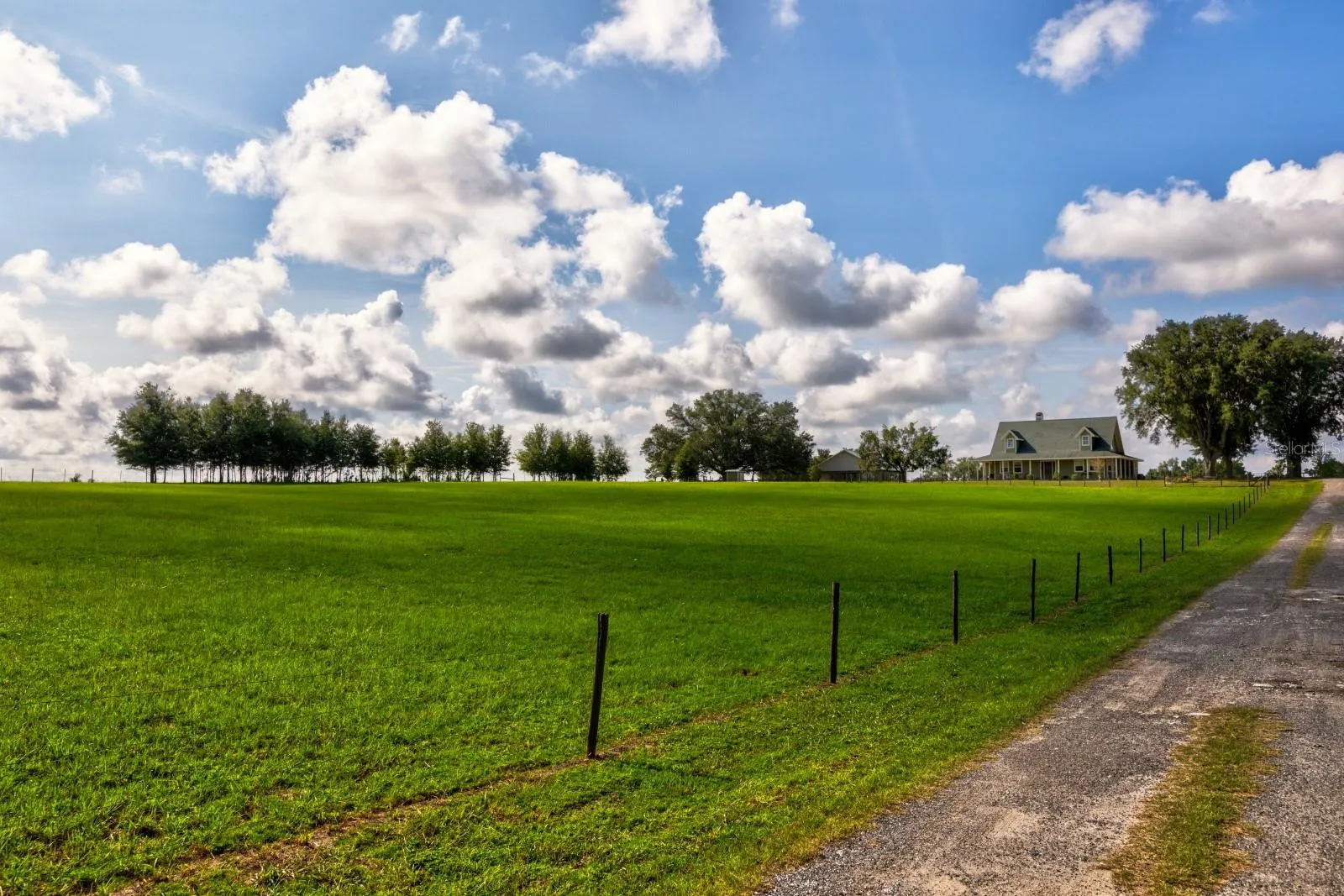 Front Pasture and driveway to Home