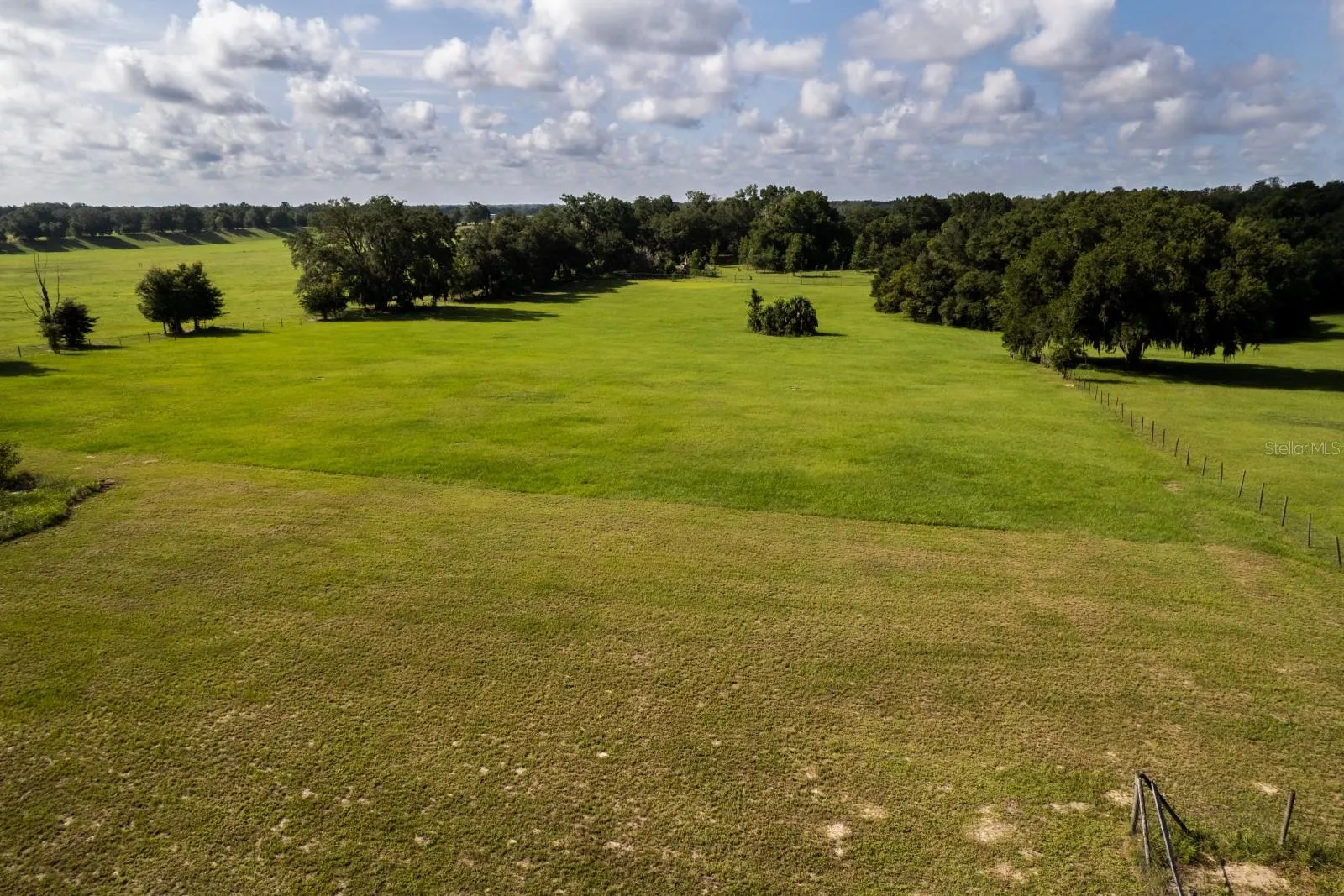 Sprawling lush back Pasture
