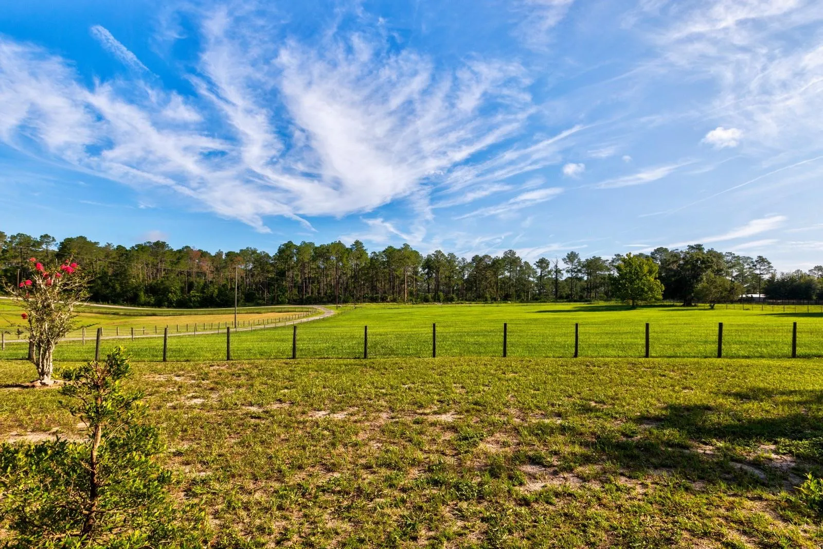 Front Pasture and driveway - Amazing sky views!