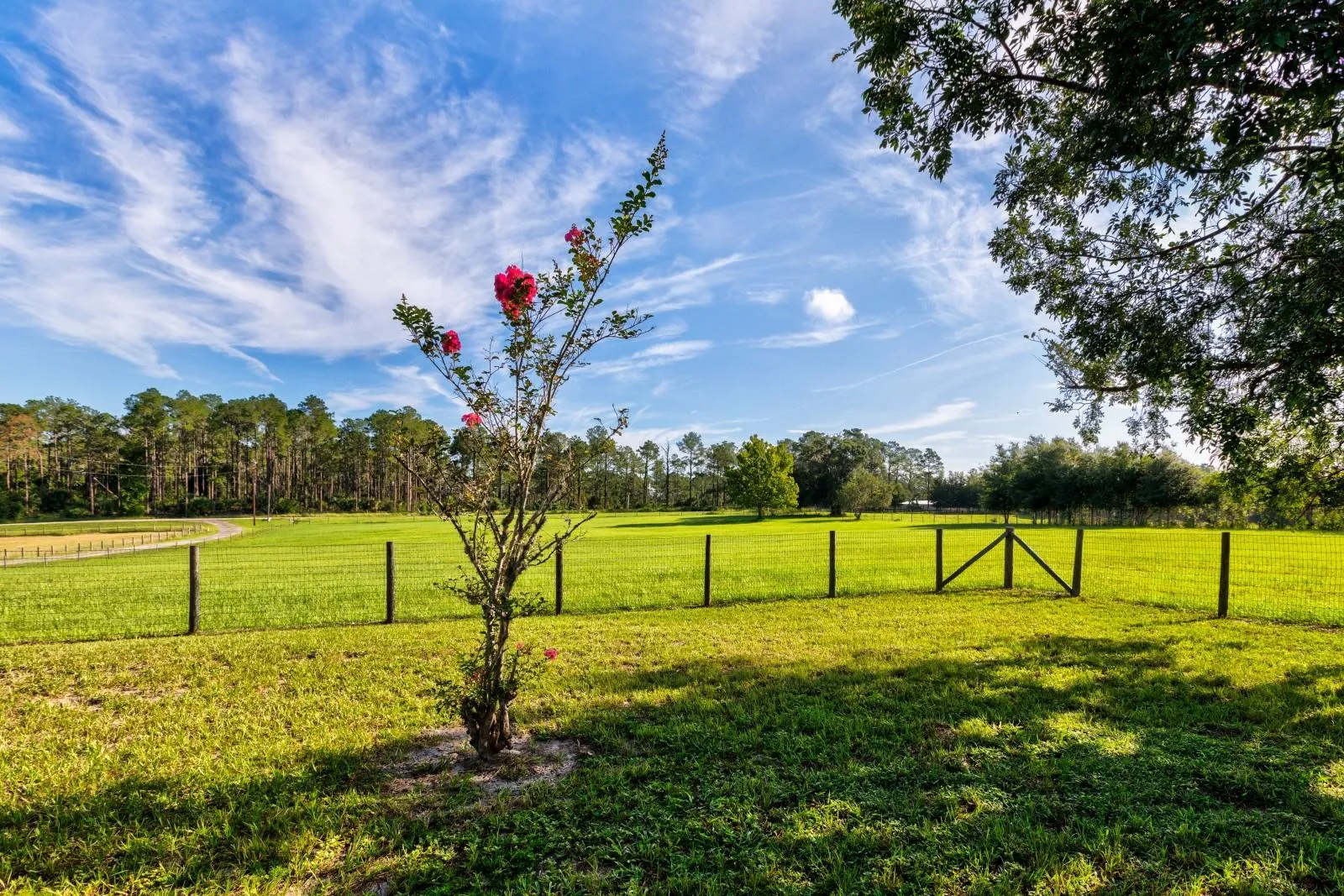 Front Pasture - such privacy!