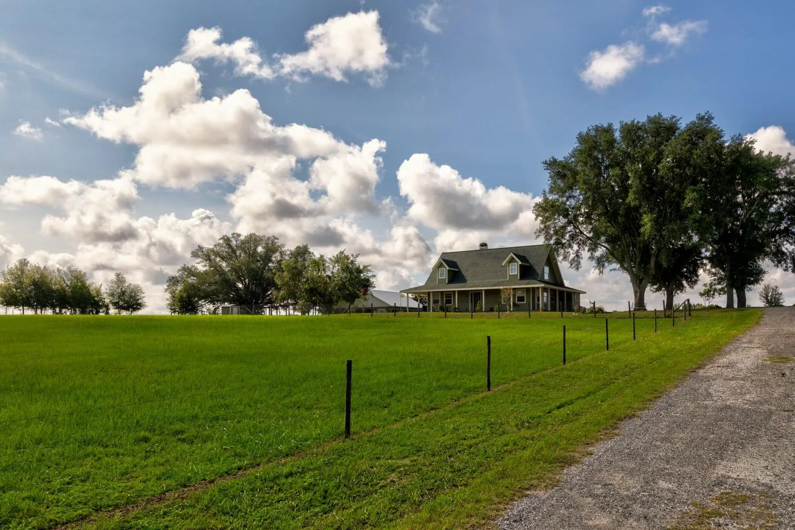Lush grass and Mature Oaks